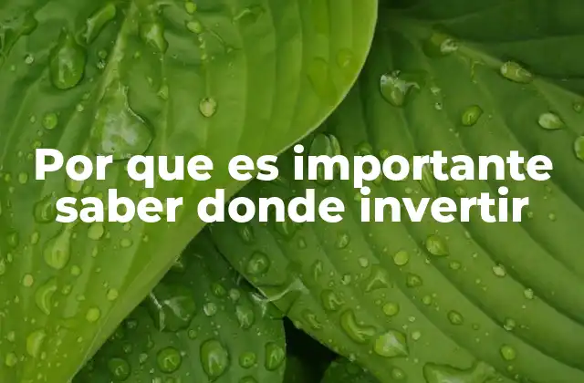 Por que es Importante Saber Donde Invertir