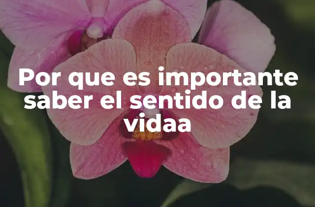 Por que es Importante Saber el Sentido de la Vidaa