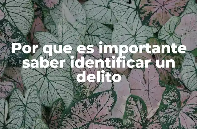 Por que es Importante Saber Identificar un Delito