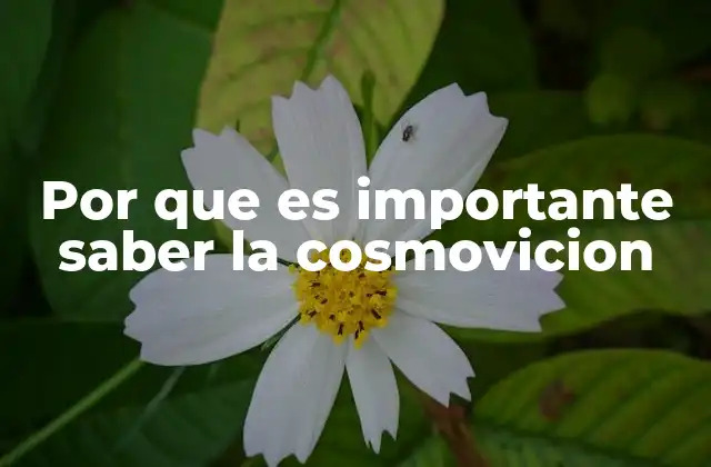 Por que es Importante Saber la Cosmovicion