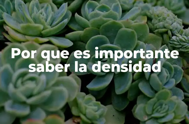 Por que es Importante Saber la Densidad