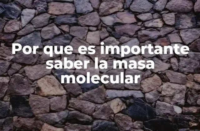 La relevancia de la masa molecular en la química analítica