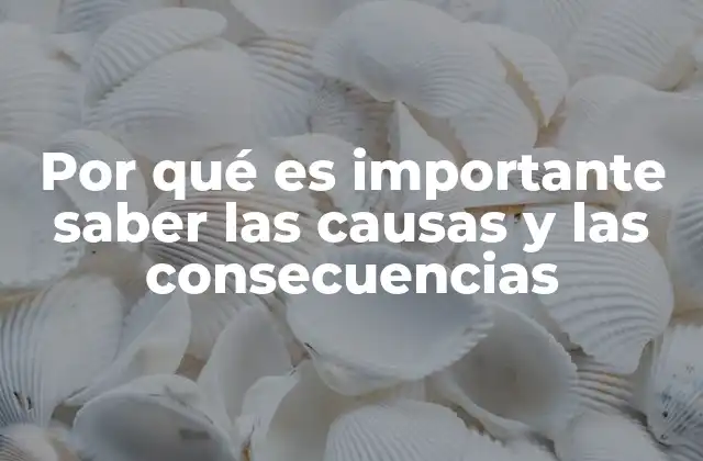 Por Qué es Importante Saber las Causas y las Consecuencias