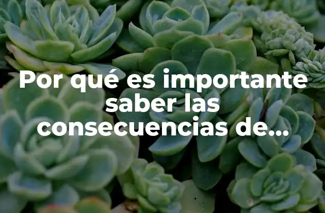 Por Qué es Importante Saber las Consecuencias de Trump