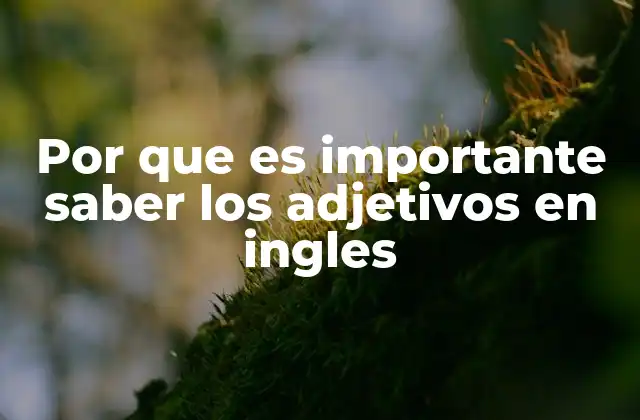 Por que es Importante Saber los Adjetivos en Ingles