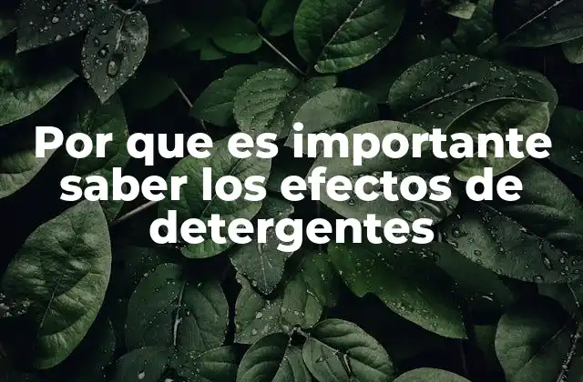 Por que es Importante Saber los Efectos de Detergentes