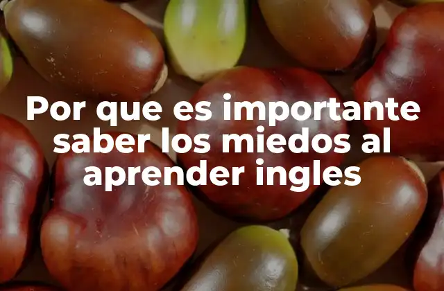 Por que es Importante Saber los Miedos Al Aprender Ingles
