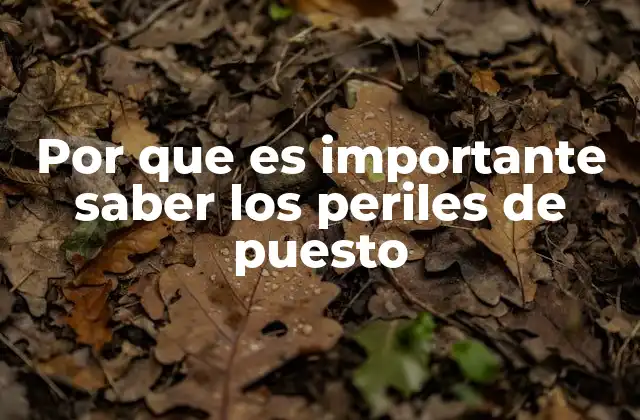 Por que es Importante Saber los Periles de Puesto