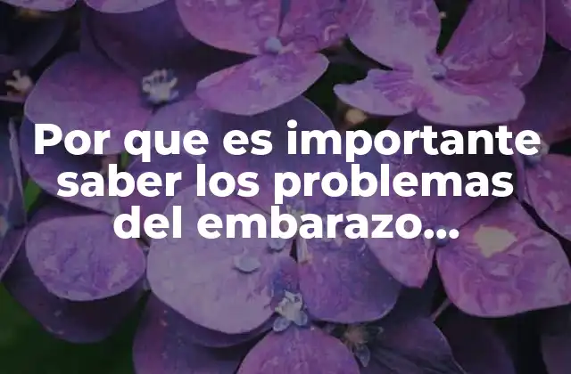 Por que es Importante Saber los Problemas Del Embarazo Adolescente