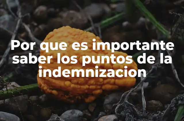 Por que es Importante Saber los Puntos de la Indemnizacion