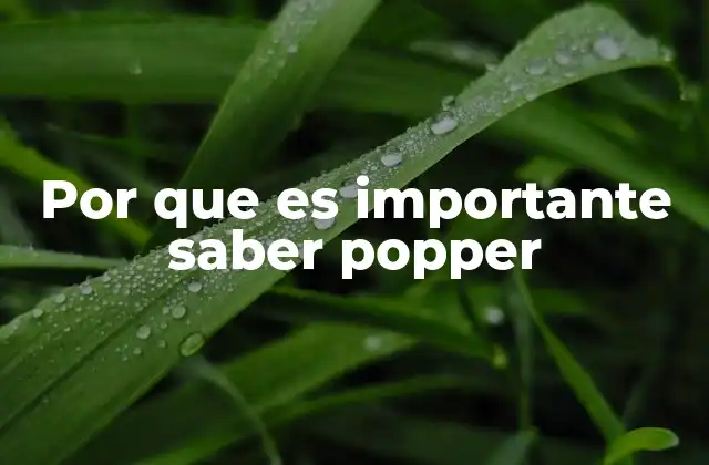 Por que es Importante Saber Popper