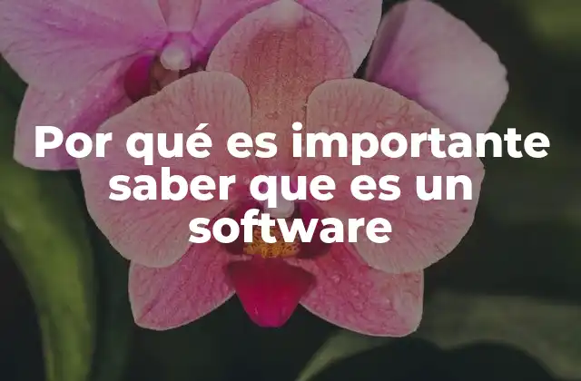 Por Qué es Importante Saber que es un Software