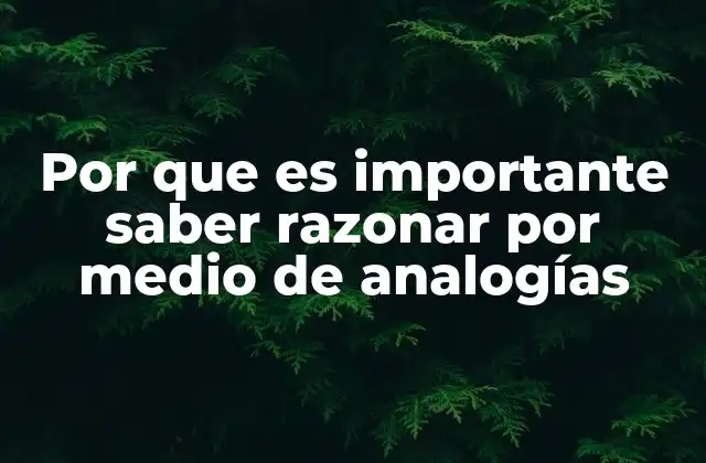 Por que es Importante Saber Razonar por Medio de Analogías