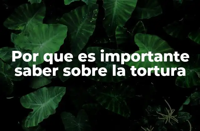 Por que es Importante Saber sobre la Tortura