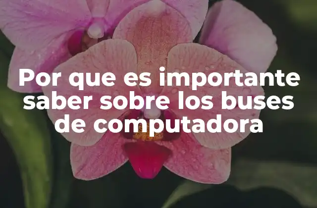 Por que es Importante Saber sobre los Buses de Computadora