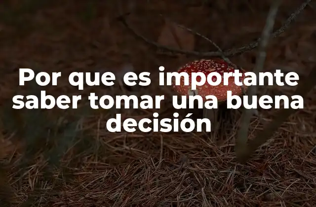 Por que es Importante Saber Tomar una Buena Decisión