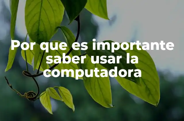 Por que es Importante Saber Usar la Computadora