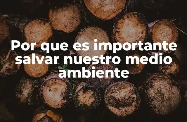 Por que es Importante Salvar Nuestro Medio Ambiente 2 La relación entre el bienestar humano y la salud del planeta