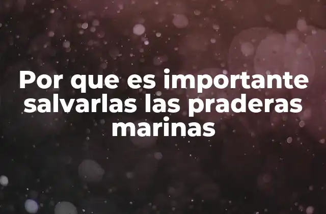 Por que es Importante Salvarlas las Praderas Marinas