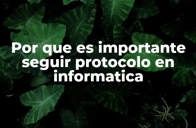 Por que es Importante Seguir Protocolo en Informatica