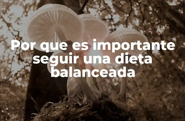 Por que es Importante Seguir una Dieta Balanceada