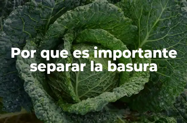 Por que es Importante Separar la Basura