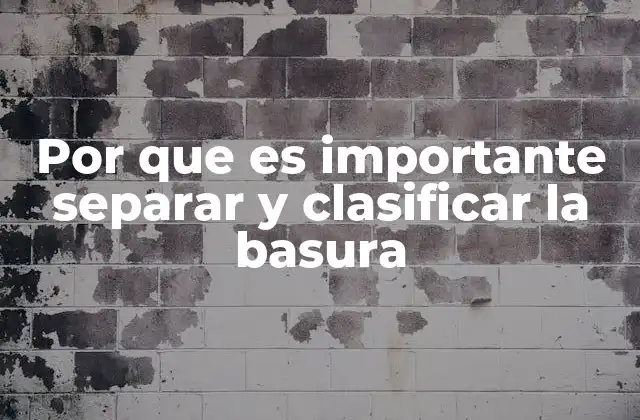 Por que es Importante Separar y Clasificar la Basura 2 La importancia de un enfoque integral en la gestión de residuos