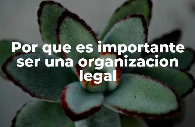 Por que es Importante Ser una Organizacion Legal