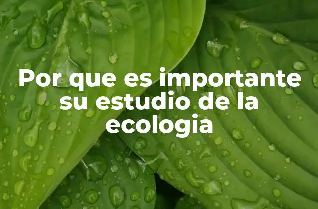 Por que es Importante Su Estudio de la Ecologia