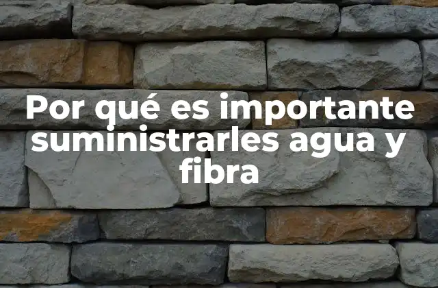 Por Qué es Importante Suministrarles Agua y Fibra