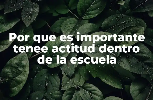 Por que es Importante Tenee Actitud Dentro de la Escuela