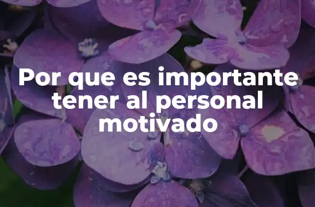 Por que es Importante Tener Al Personal Motivado