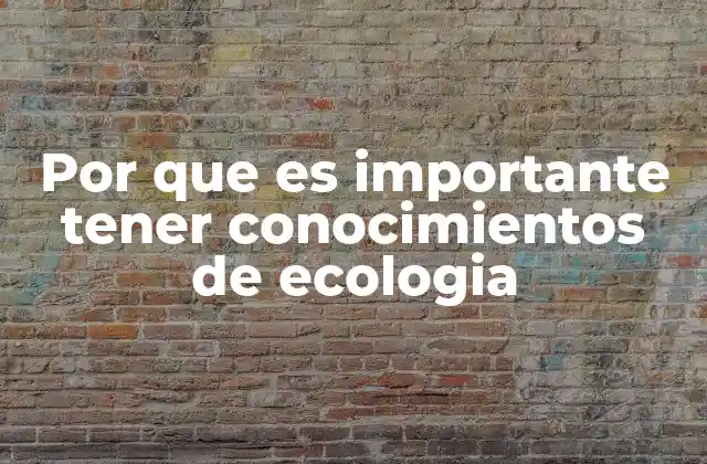 Por que es Importante Tener Conocimientos de Ecologia 2 Cómo la ecología influye en decisiones cotidianas