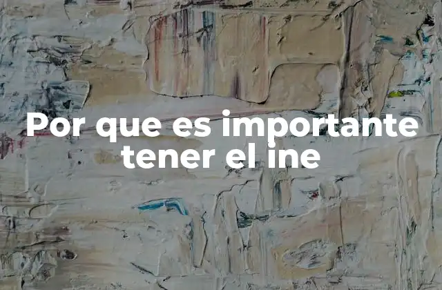 Por que es Importante Tener el Ine