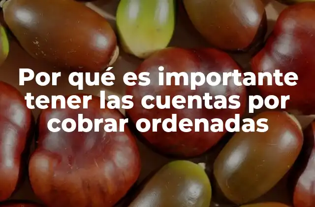 Por Qué es Importante Tener las Cuentas por Cobrar Ordenadas 2 La relación entre la gestión financiera y el control de deudas pendientes
