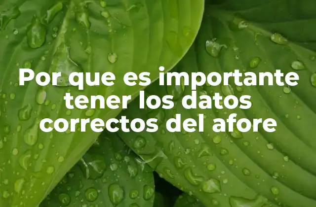 Por que es Importante Tener los Datos Correctos Del Afore