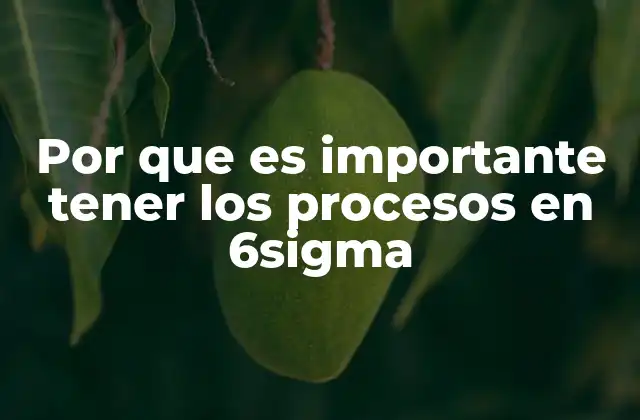 Por que es Importante Tener los Procesos en 6sigma