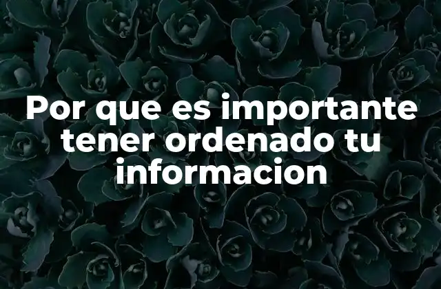 Por que es Importante Tener Ordenado Tu Informacion