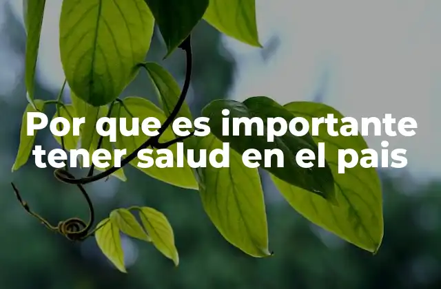 Por que es Importante Tener Salud en el Pais