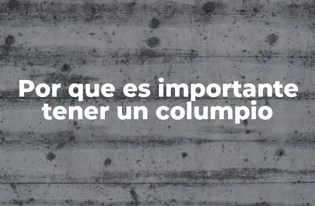 Por que es Importante Tener un Columpio