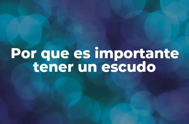 Por que es Importante Tener un Escudo