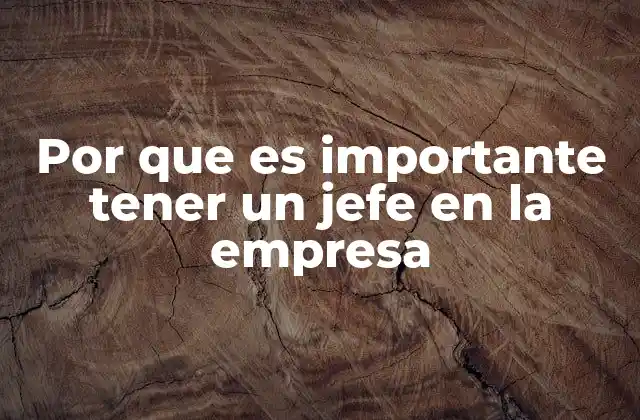 Por que es Importante Tener un Jefe en la Empresa