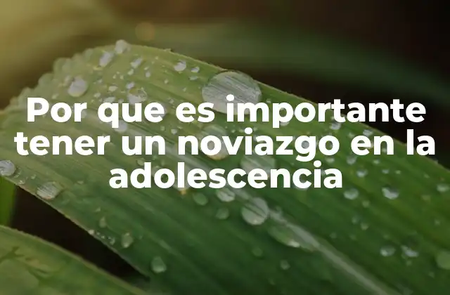 Por que es Importante Tener un Noviazgo en la Adolescencia