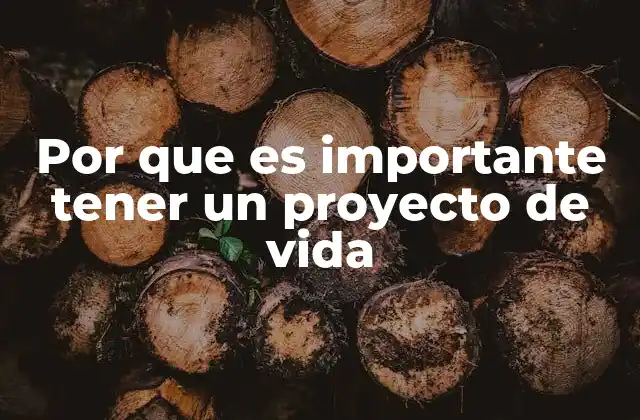 Por que es Importante Tener un Proyecto de Vida