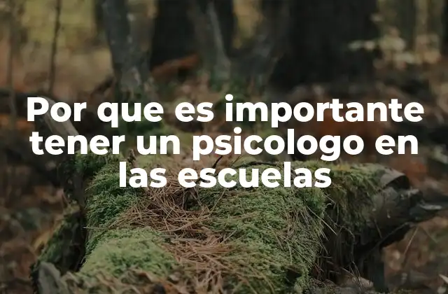 Por que es Importante Tener un Psicologo en las Escuelas