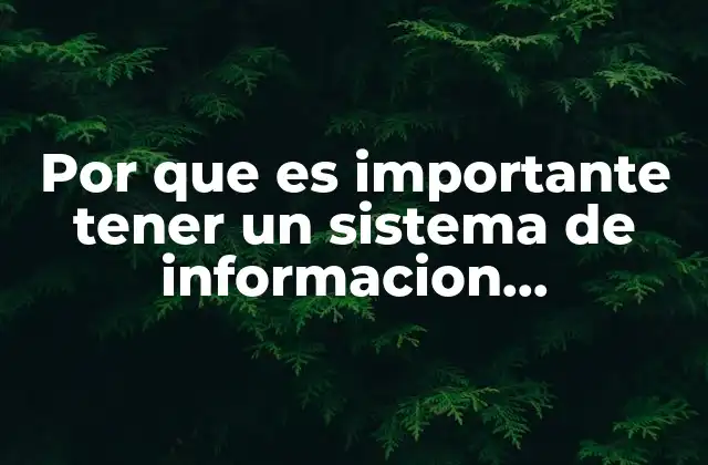 Por que es Importante Tener un Sistema de Informacion Estructurada