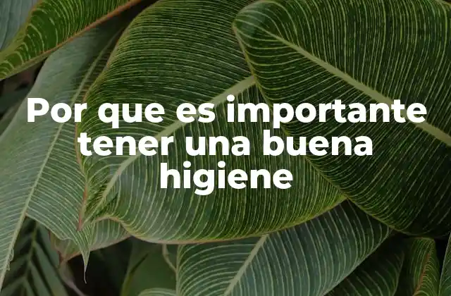 Por que es Importante Tener una Buena Higiene