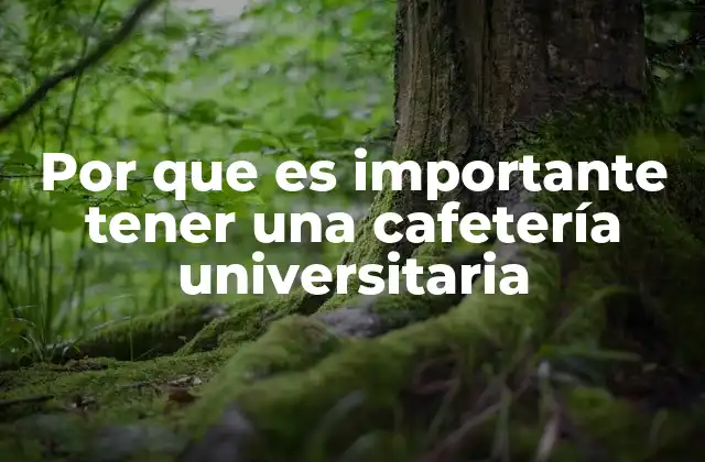 Por que es Importante Tener una Cafetería Universitaria