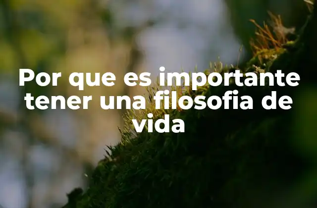 Por que es Importante Tener una Filosofia de Vida