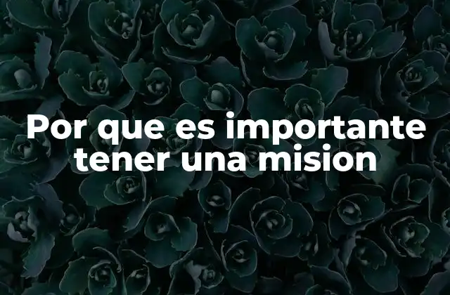 Por que es Importante Tener una Mision